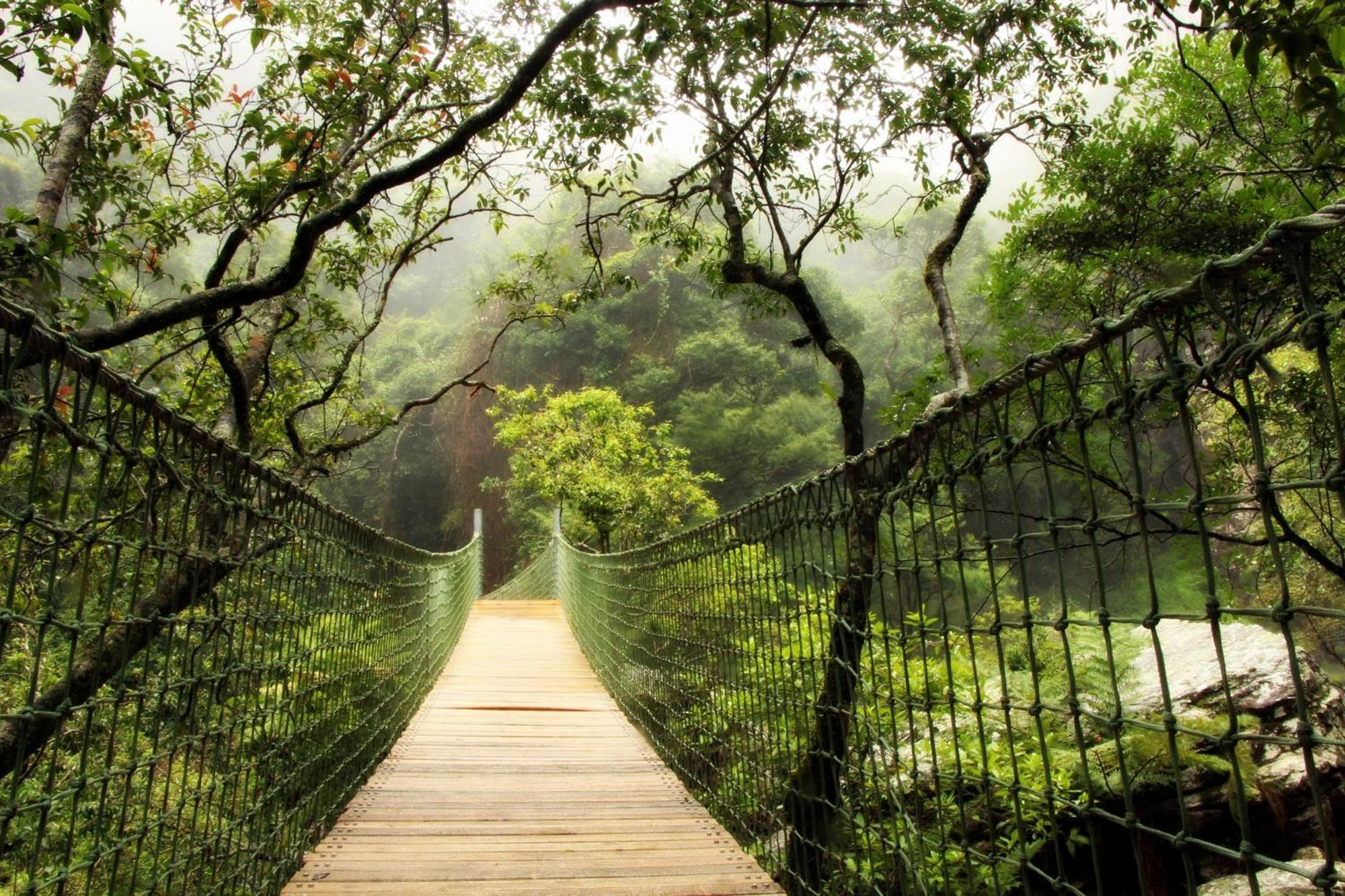 Mogodi Lodge Graskop Kültér fotó